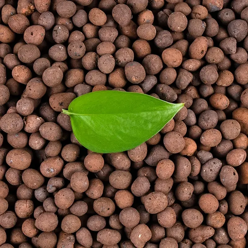 Sphagnum Moss Bag - 500 g/PackungGarden Hydroponic Expanded Clay Pebbles15mm-20mm