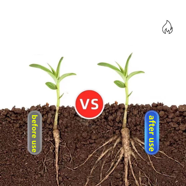 200g wasserlöslicher Gartendün – Bonsai Soil Akadama Bewertung und Preis