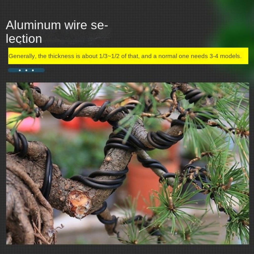 Aluminium-Bonsaidraht Garten-B – Bonsai Garden Tools Bewertung und Preis