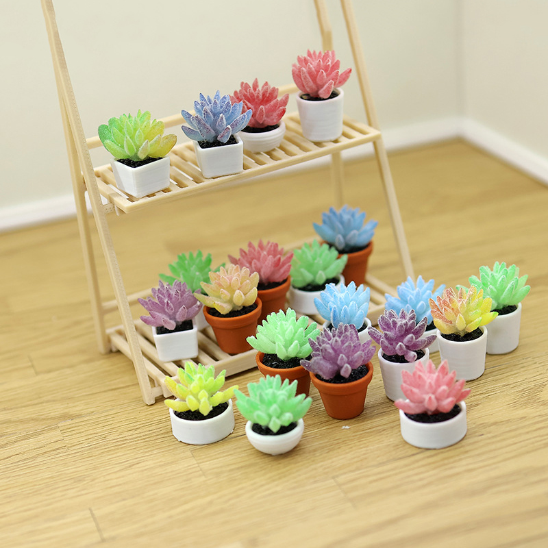 Mini Künstliche Sukkulenten Bo – Bonsai Garden Layout Bewertung und Preis