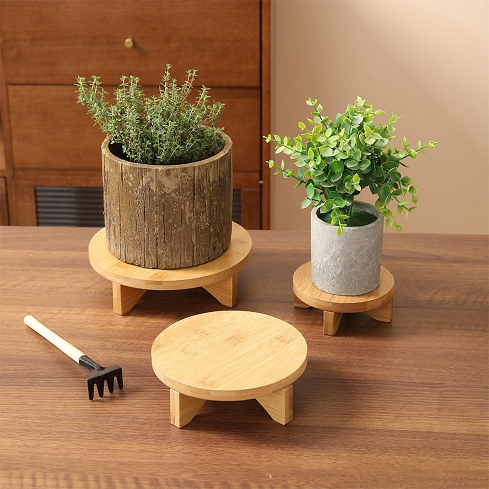 Bonsai-Ausstellungsständer aus – Bonsai Garden Display Stands Bewertung und Preis