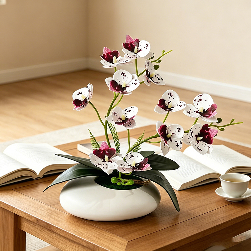 Schmetterlingsorchidee 12-Blüt – Bonsai Garden Decor Bewertung und Preis