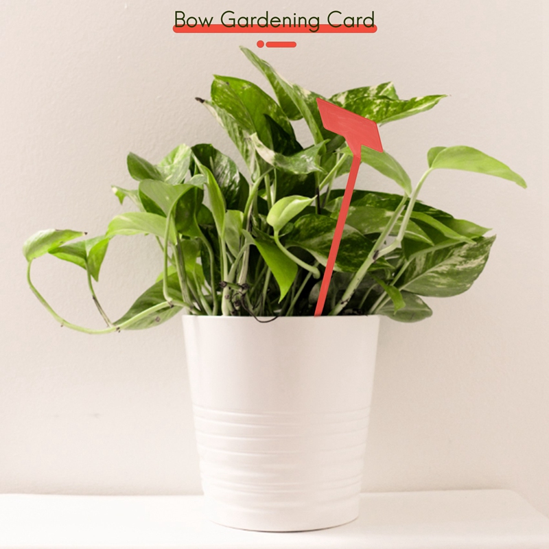 ABYP Gardens Pflanzwerkzeuge,  – Bonsai Garden Tools Bewertung und Preis