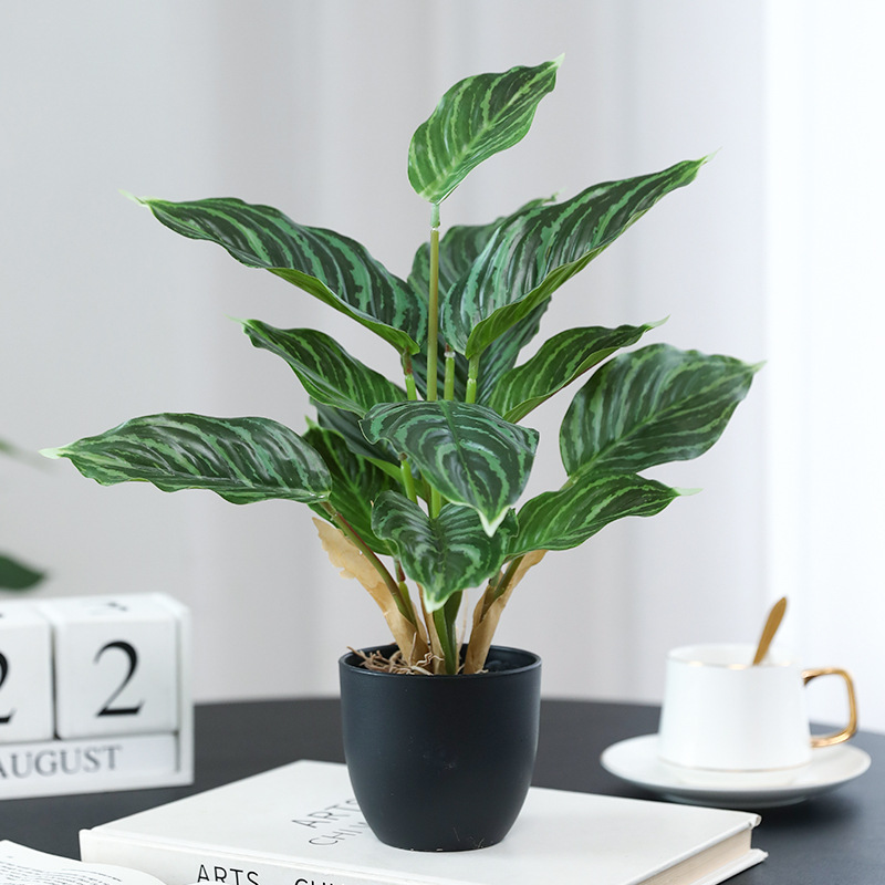 Simulierte Grünpflanzen Pothos – Bonsai Garden Layout Bewertung und Preis