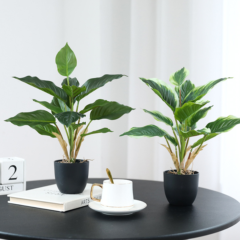 Simulierte Grünpflanzen Pothos – Bonsai Garden Layout Bewertung und Preis