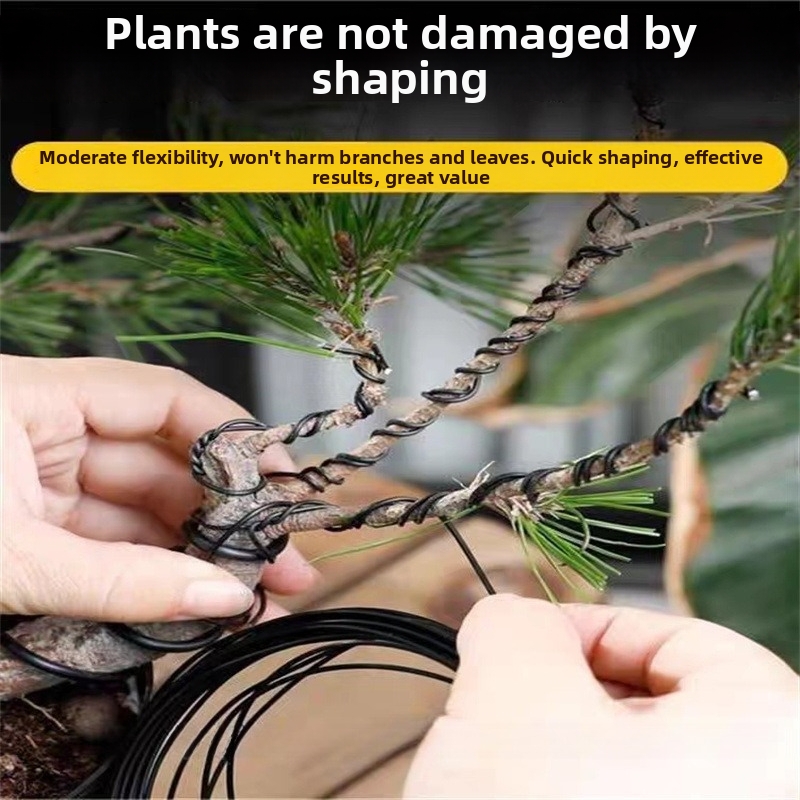 1,5-mm-Bonsaidrähte, Aluminium – Bonsai Garden Tools Bewertung und Preis