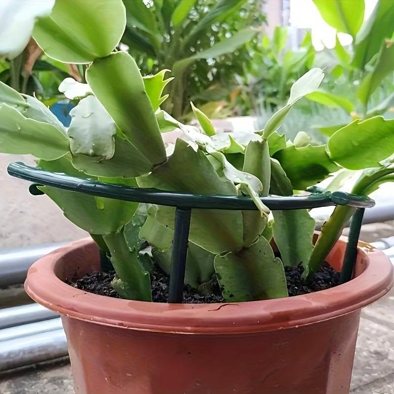 30-1 Stück Kunststoff-Pflanzen – Bonsai Garden Tools Bewertung und Preis