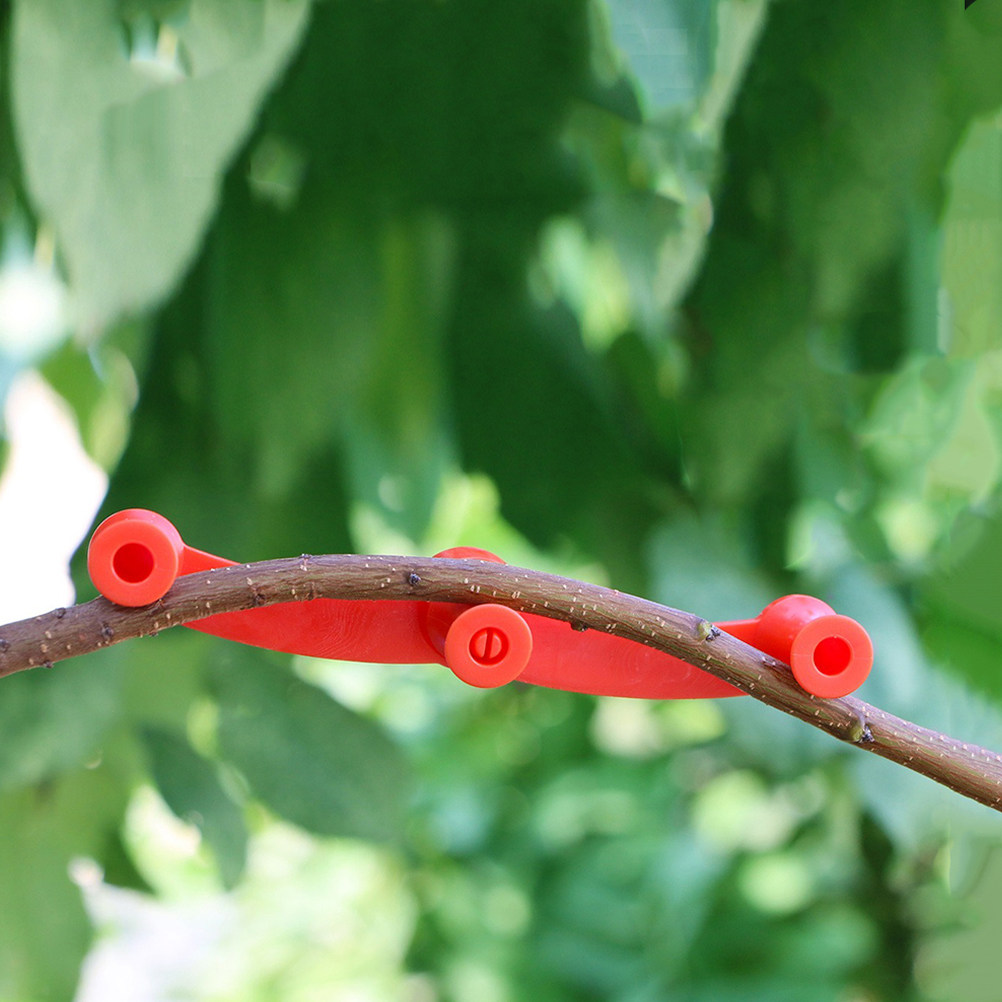 10 Stück Verstellbare Pflanzen – Bonsai Garden Tools Bewertung und Preis