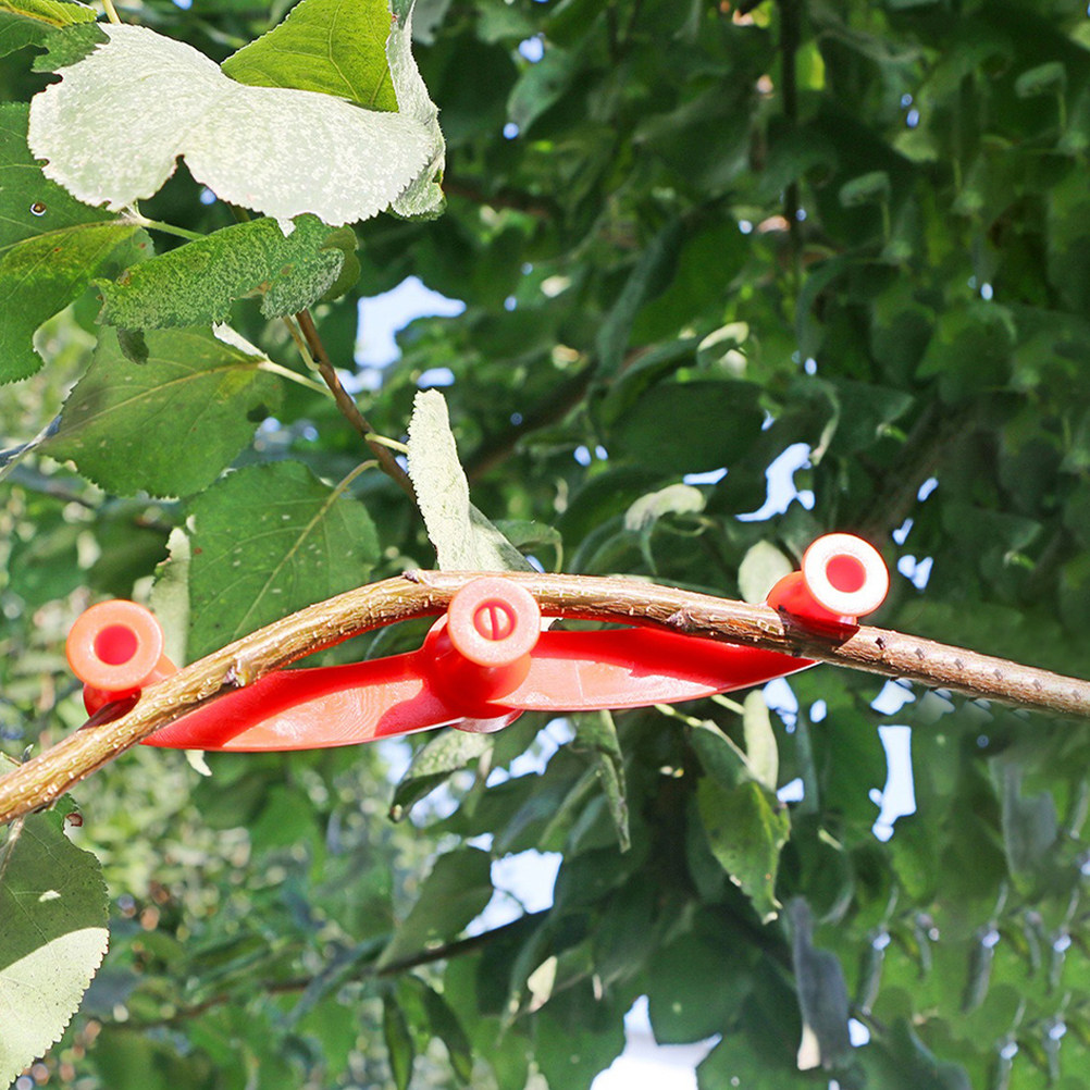 10 Stück Verstellbare Pflanzen – Bonsai Garden Tools Bewertung und Preis