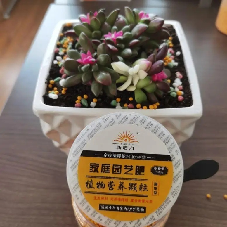 500 g Allzweck-NPK-Verbunddüng – Bonsai Soil Akadama Bewertung und Preis