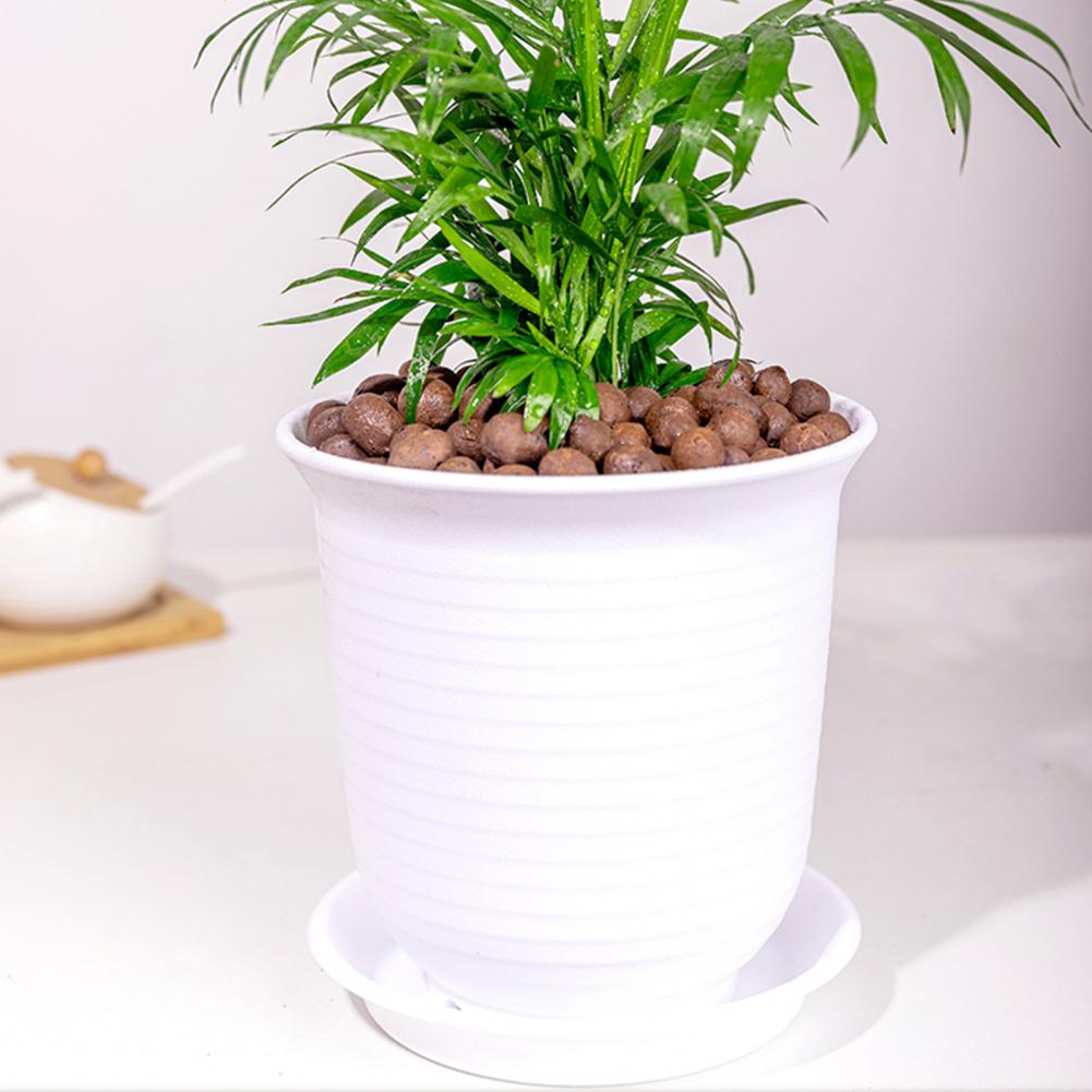 Leichte Hydroponische Tonkugel – Sphagnum Moss Bag Bewertung und Preis