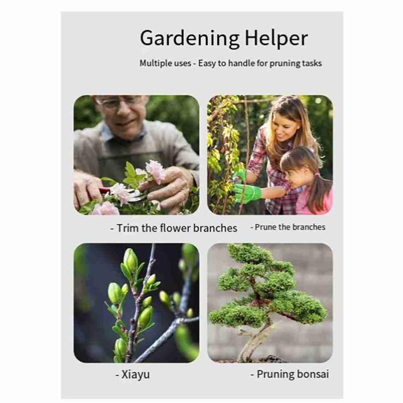 ABGH-Bonsai-Baumwerkzeuge, 4-t – Root Hook Tool Bewertung und Preis