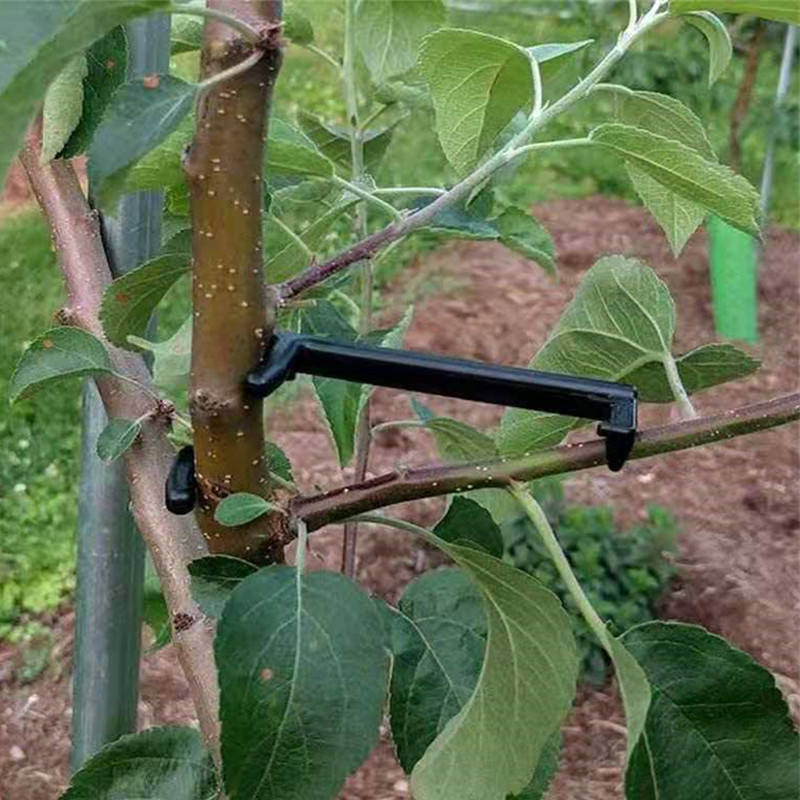 10-30Pcs Obst Baum Clips Anlag – Bonsai Garden Tools Bewertung und Preis