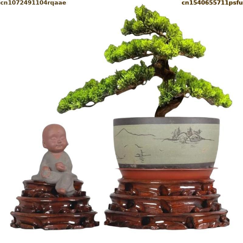 6–30 cm Durchmesser, stehend,  – Bonsai Garden Display Stands Bewertung und Preis