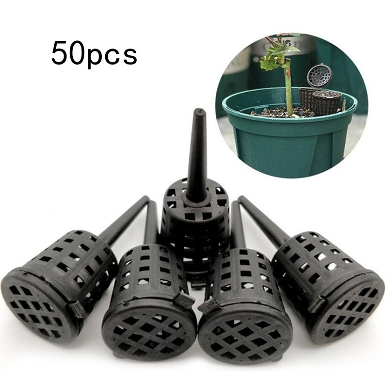 50 teile/paket pflanzen dünger – Sphagnum Moss Bag Bewertung und Preis