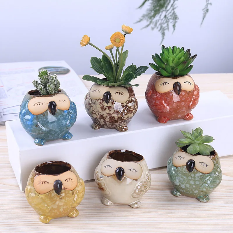 Mini Keramik-Eule Sukkulenten- – Bonsai Garden Wall Bewertung und Preis