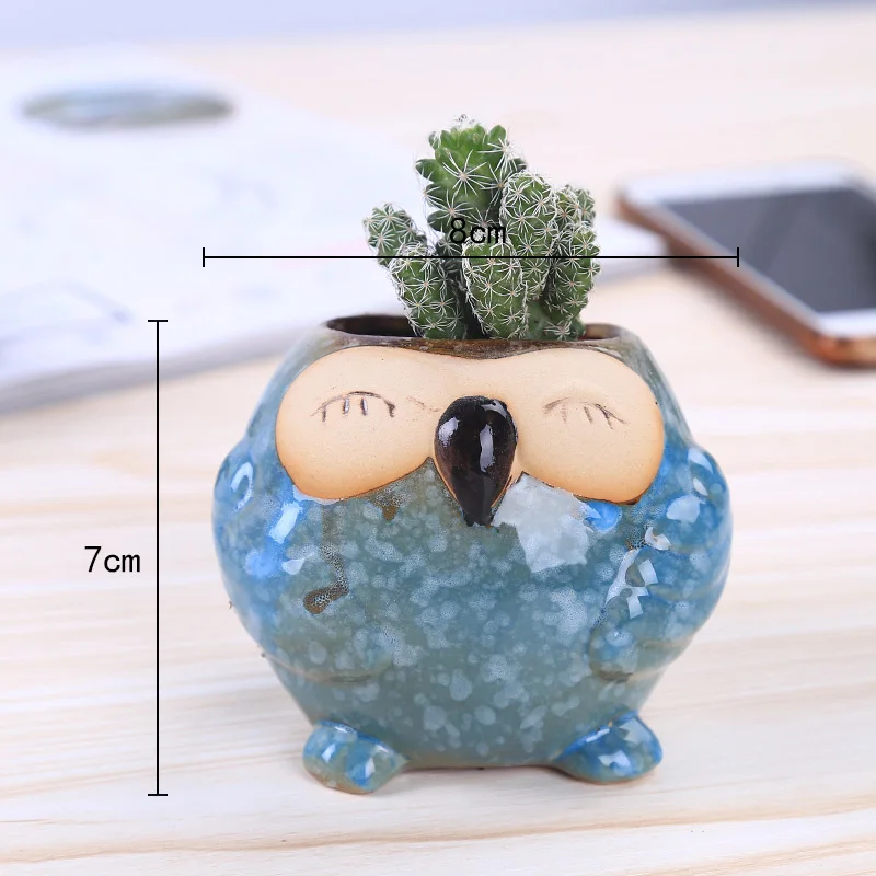 Mini Keramik-Eule Sukkulenten- – Bonsai Garden Wall Bewertung und Preis
