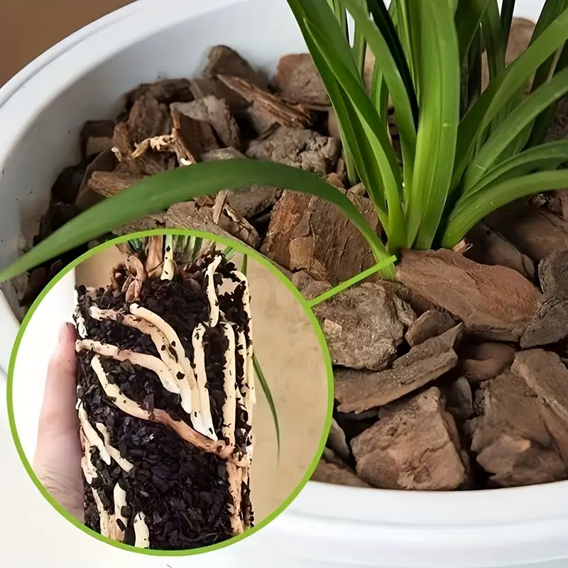 Orchideen-Pflanzsubstrat aus K – Sphagnum Moss Bag Bewertung und Preis